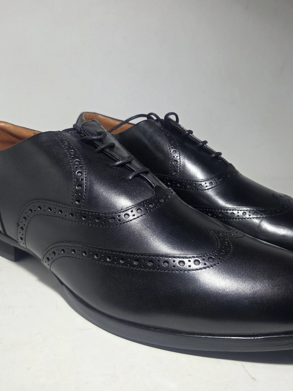 Wolf & Shepherd brand wolf